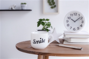 一人暮らしを快適に生活する